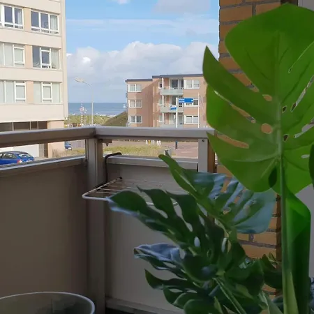 Aan Zee Lejlighed Egmond aan Zee